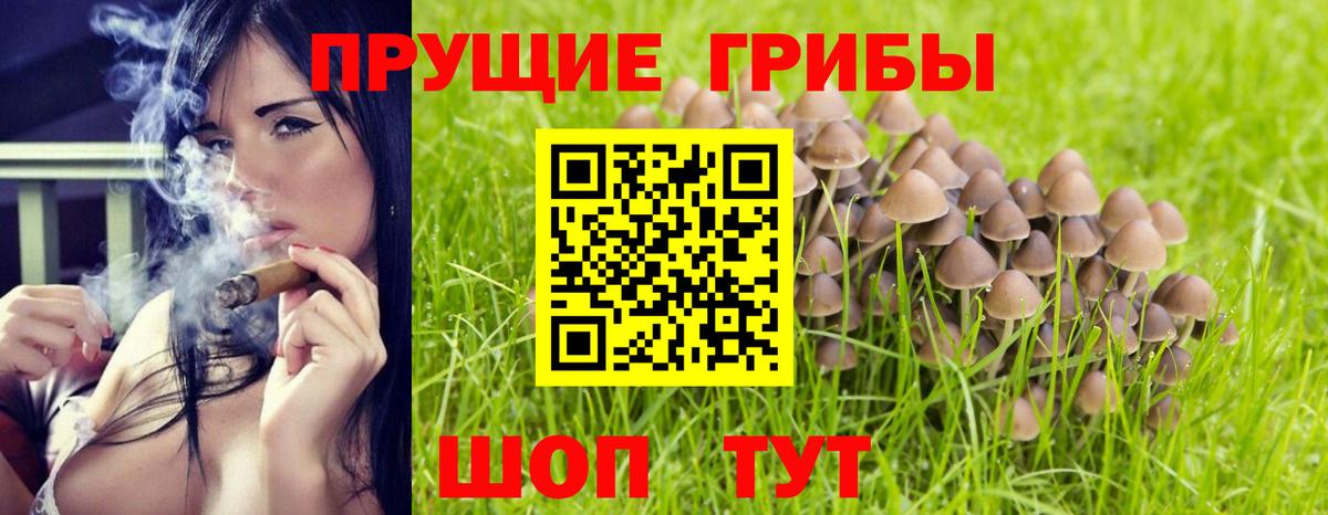 Галлюциногенные грибы прущие грибы Видное