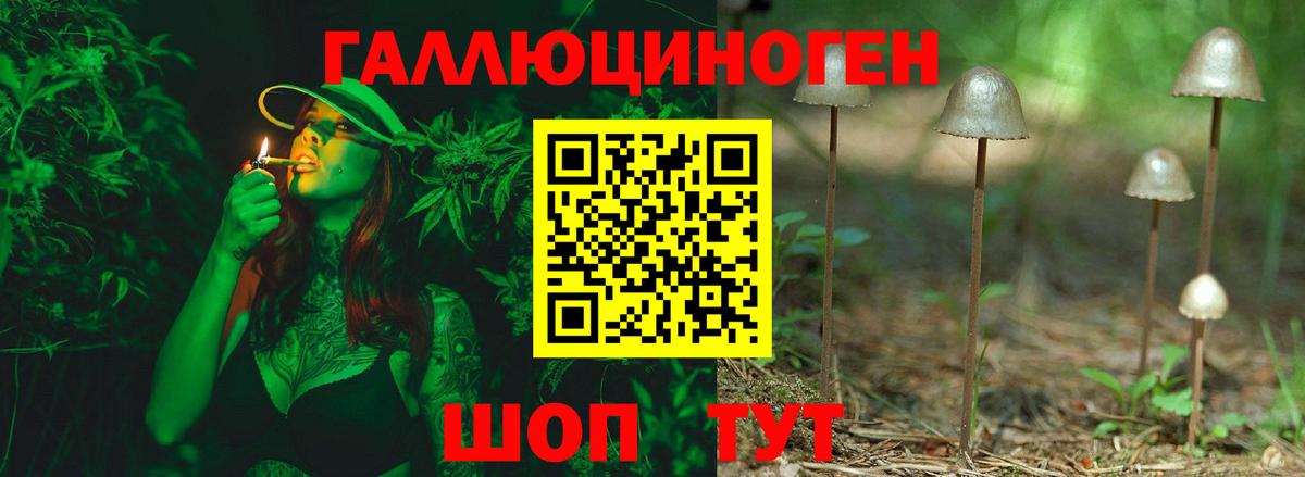 Видное  Галлюциногенные грибы мухоморы  Вход с VPN  Псилоцибиновые грибы GOLDEN TEACHER 